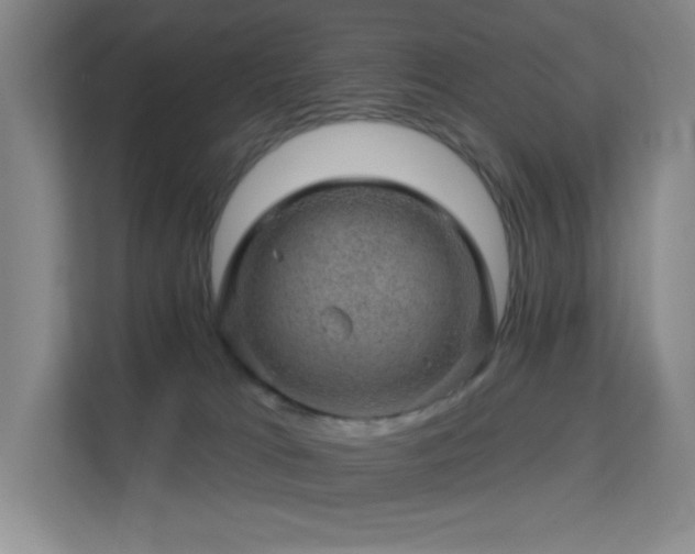 X0000113570037200909251143