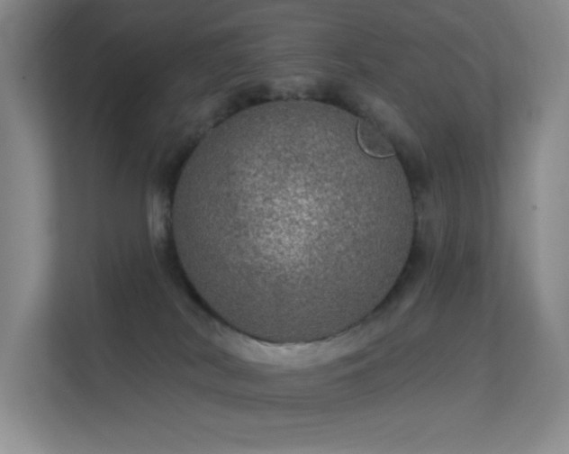 X0000113570038200909251143