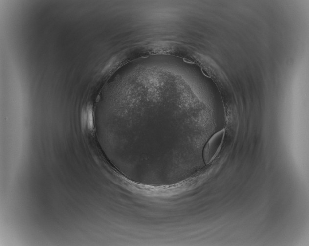 X0000113570046200909251143
