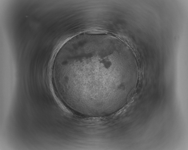 X0000113570049200909251143