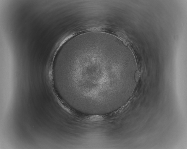 X0000113570050200909251143