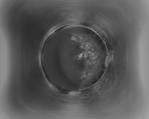 X0000113570051200909251143