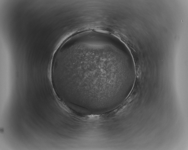 X0000113570052200909251143