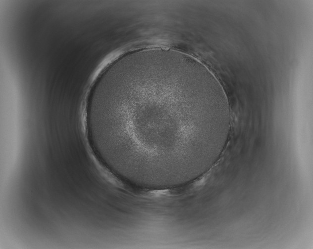 X0000113570054200909251143