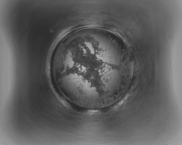 X0000113570055200909251143