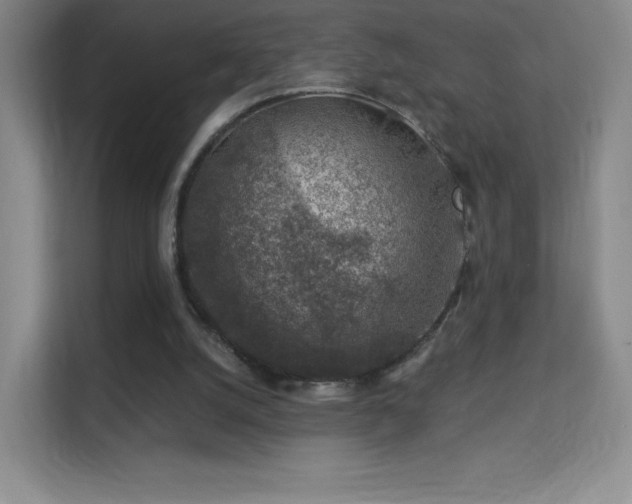 X0000113570056200909251143