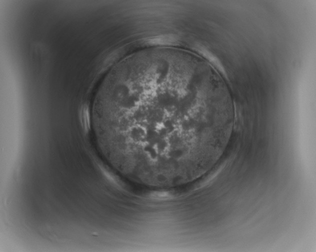 X0000113570061200909251143
