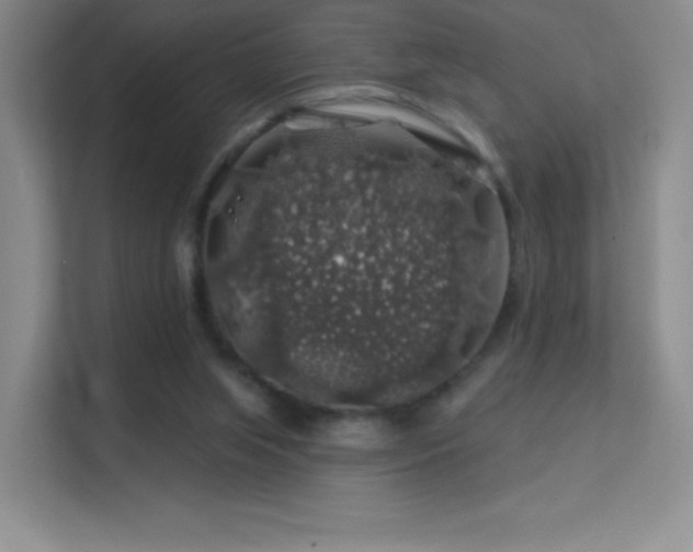 X0000113570063200909251143
