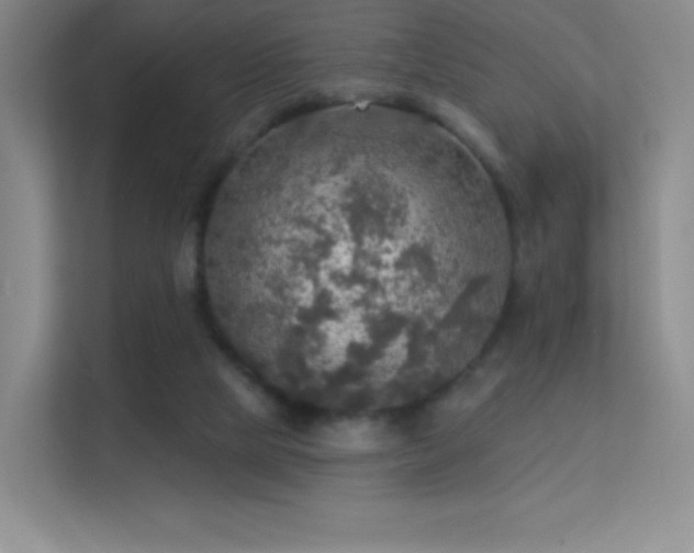 X0000113570065200909251143
