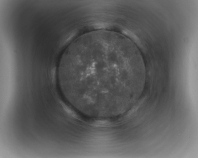 X0000113570066200909251143
