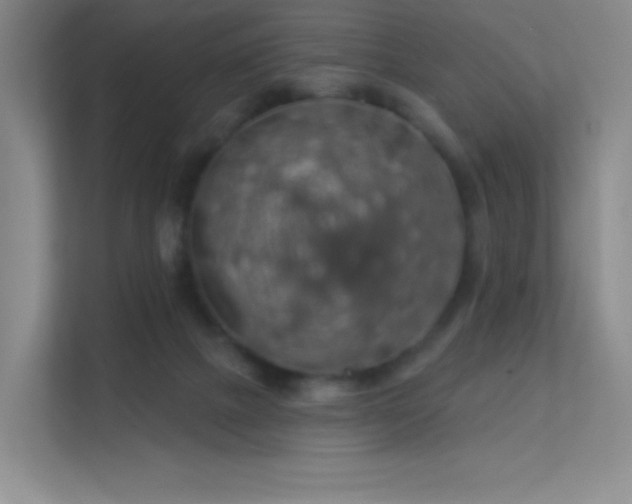 X0000113570073200909251143