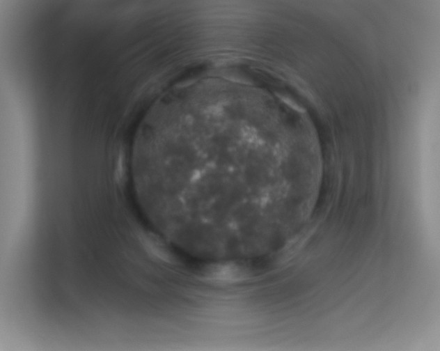 X0000113570074200909251143