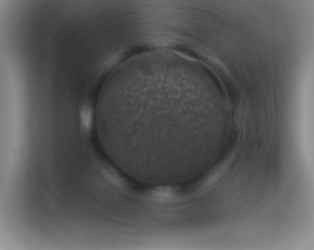 X0000113570076200909251143