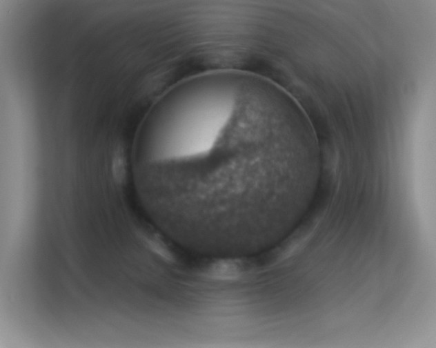 X0000113570080200909251143