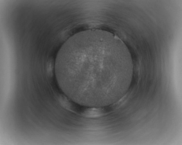 X0000113570082200909251143