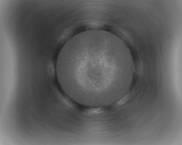 X0000113570086200909251143