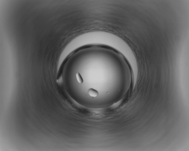 X0000113570088200909251143