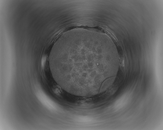 X0000113570095200909251143