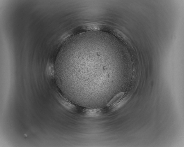 X0000113570096200909251143
