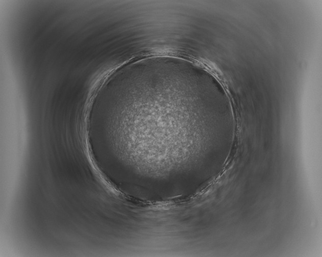 X0000113570097200909251143