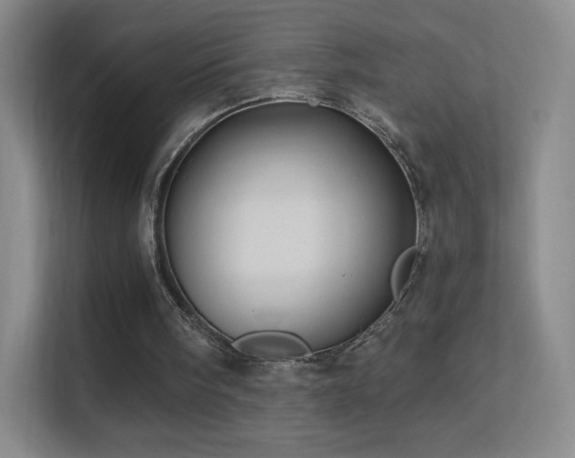 X0000113570098200909251143
