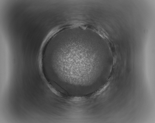 X0000113570101200909251143