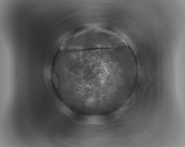 X0000113570105200909251143