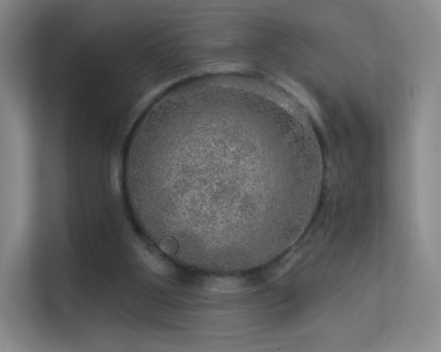 X0000113570107200909251142