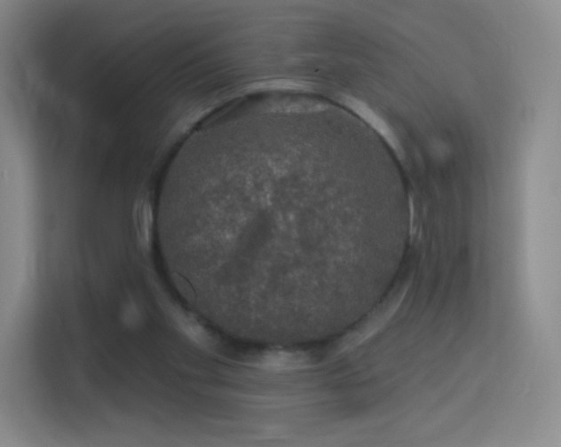 X0000113570109200909251142