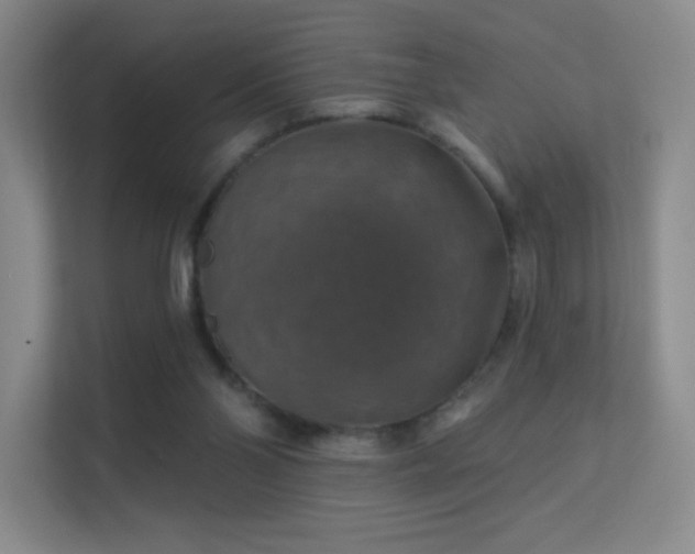 X0000113570110200909251142
