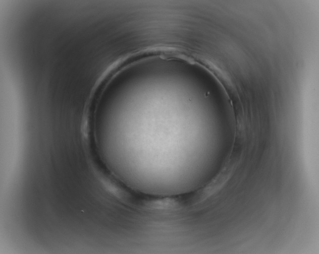 X0000113570112200909251142