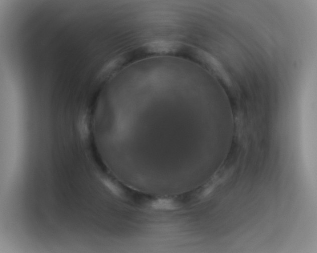 X0000113570114200909251142