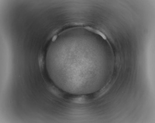 X0000113570116200909251142