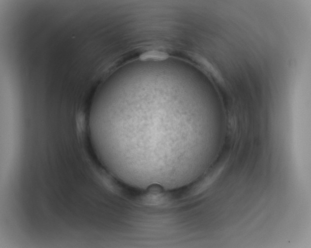 X0000113570117200909251142