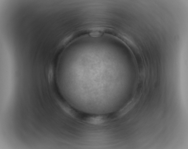X0000113570120200909251142