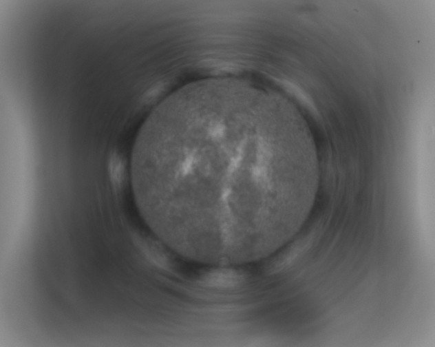 X0000113570123200909251142