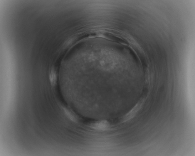 X0000113570124200909251142
