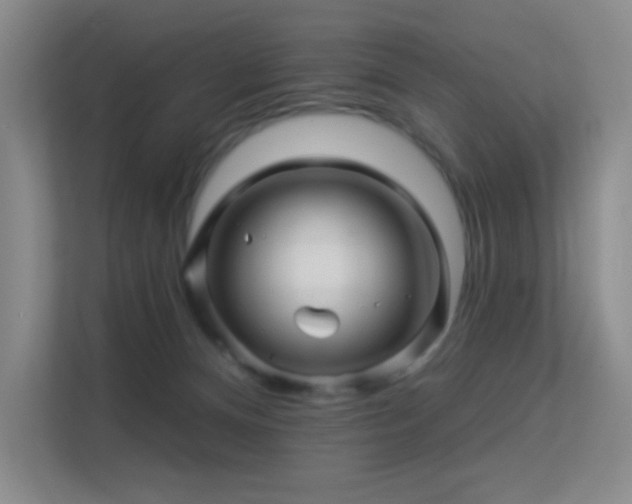 X0000113570128200909251142