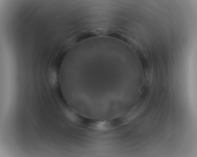 X0000113570130200909251142