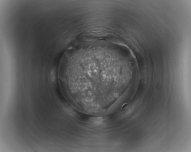 X0000113570131200909251142