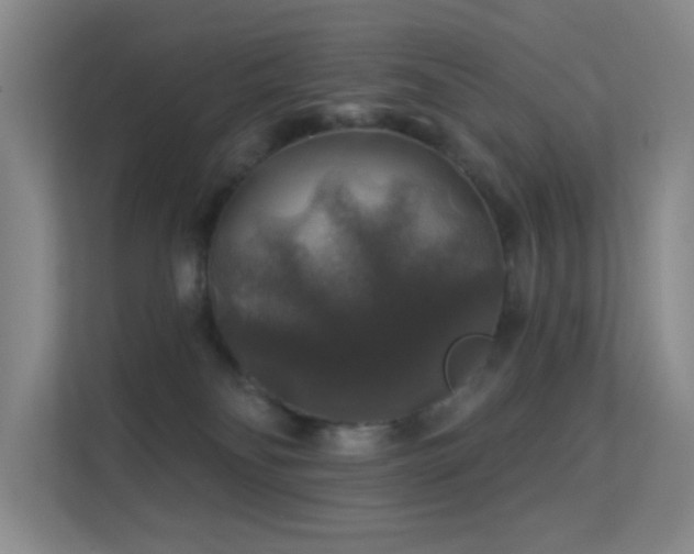 X0000113570134200909251142