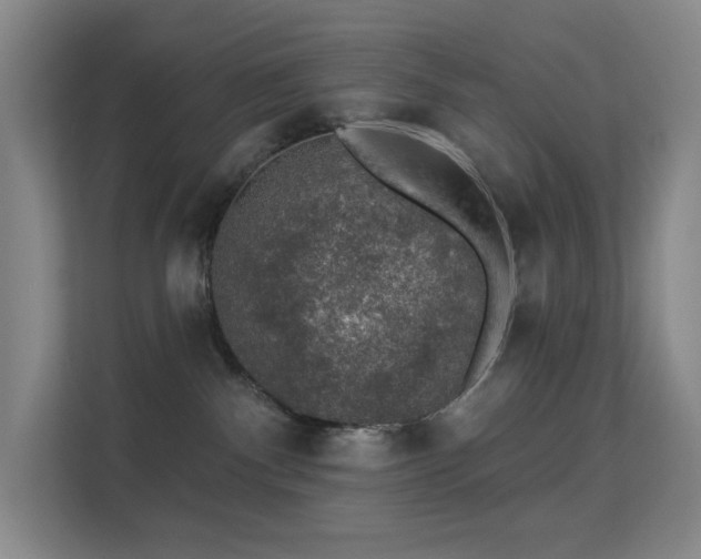 X0000113570140200909251142