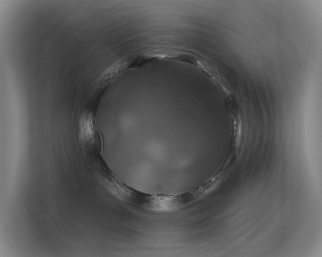 X0000113570143200909251142