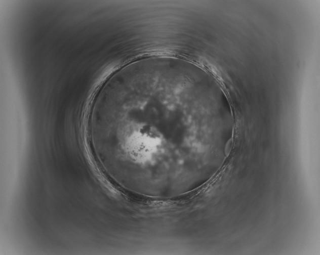 X0000113570145200909251141