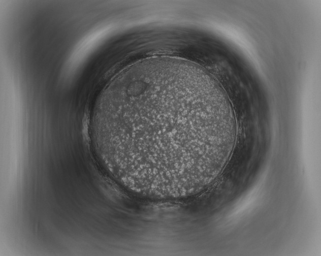 X0000113570146200909251141