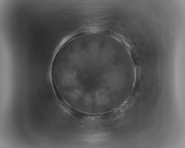 X0000113570147200909251141