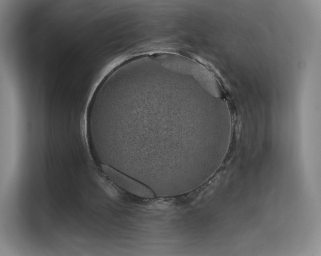 X0000113570148200909251141