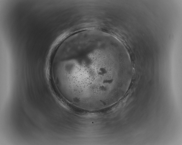 X0000113570149200909251141