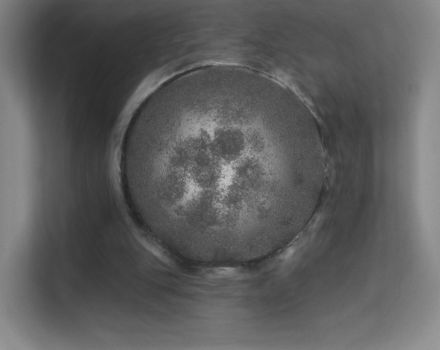 X0000113570151200909251141