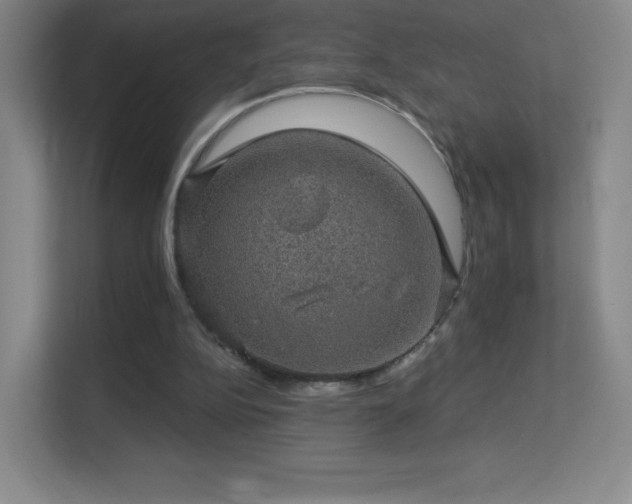 X0000113570152200909251141